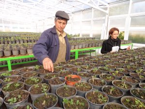 Park ve Bahçeler Müdürü Atılım Şener