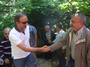 Safariciler şelale'yi değil çınar'ı tercih etti