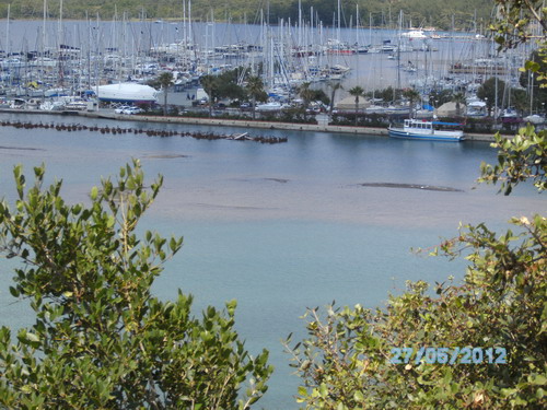 MÇD ve ÇEVRE OLUMSUZLUKLARI TAKİBİ DEVAM EDİYOR