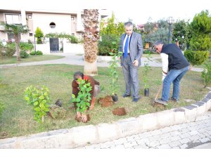 Armutalan Belediyesi Ağaçlandırma Kampanyası Başlattı