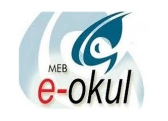 E okul giriş yapılamıyorsa bunun nedenleri;