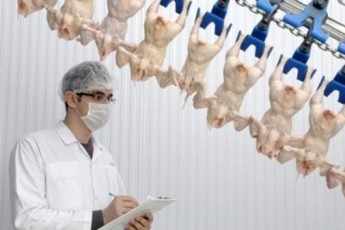 Şeker Piliç borçlarını ödeyemedi