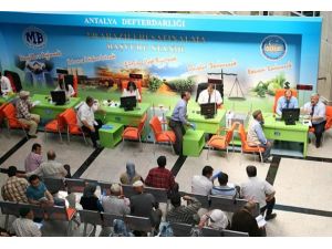 2B arazilerinin satışı başladı