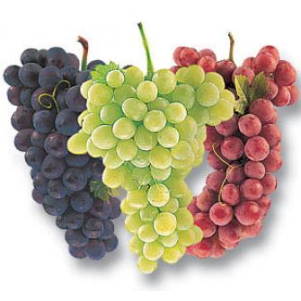 Kuru üzümü üretiyoruz tüketmiyoruz