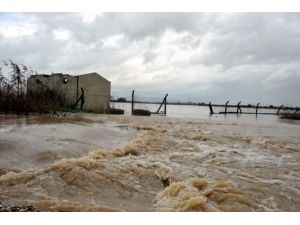 Peru'da sel: 6 ölü