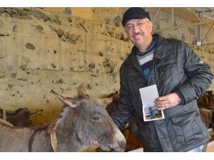 "Eşekler" kimliklerini aldı