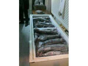 Marmaris'te 700 kilo kaçak et ele geçirildi