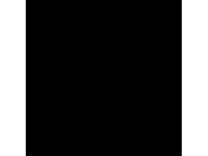 İspanya'da 3 PKK'lı tutuklandı