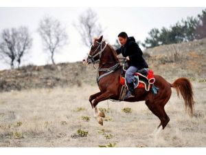 Filmlerde rol alan atlar Uşak'tan