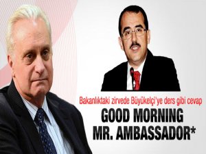 Sadullah Ergin'den Ricciardone'ye terör dersi