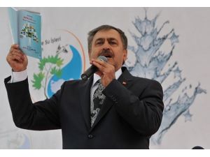Plaket yerine 10 fidan dikin