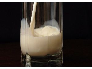 Balkanlar'da süt alarmı