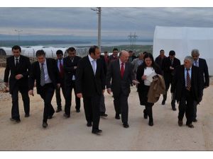 İngiltere Büyükelçisi çadır kentte