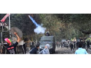 Mısır'dan 'göz yaşartan' ithalat