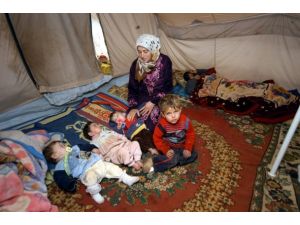 Suriyeli üçüz bebekler süte kavuştu