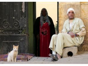 Mezar kazıcılığı yaşam tarzı oldu