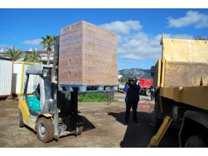 Boş bir arazide güneş altında bekletilen 57 bin