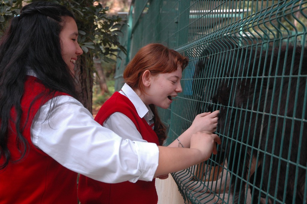 75. Yıl Kız Teknik ve Meslek Lisesi öğrencileri