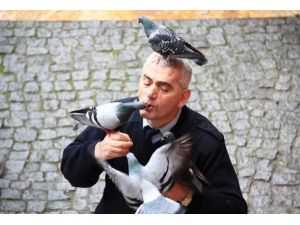 Güvercinleri fındıkla besliyor