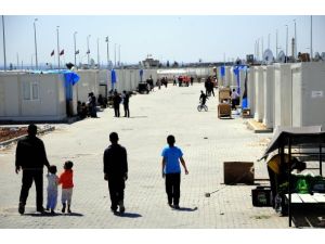 UNESCO'nun "Suriye"çalışması tamam