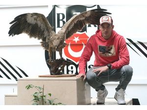 Holosko'nun 2. dalya heyecanı