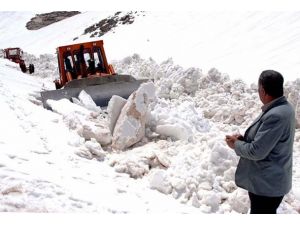 Altı ayda bir kez açılabilen yol