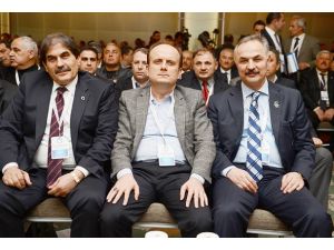 Halter başkanını seçiyor