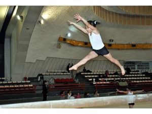 Başırının 3 temel eğitimi