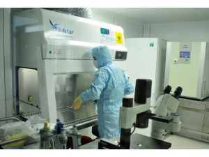 Gen Kök Hücre Merkezi'nde hücre üretimi denemesi