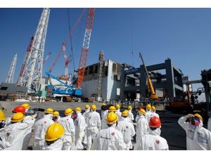 Fukuşima'daki arızanın nedeni fare