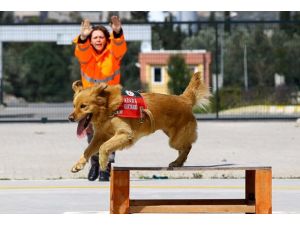 Sokağa terk edilen Rüzgar hayat kurtaracak