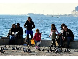 Bahar yeniden geliyor