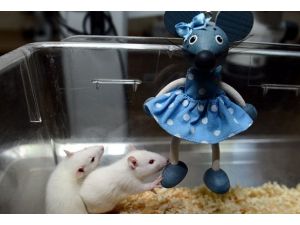 Fikrini işe dönüştürdü fare ihraç etti