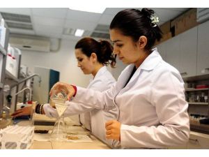 "Yenilikçi fikre" para desteği