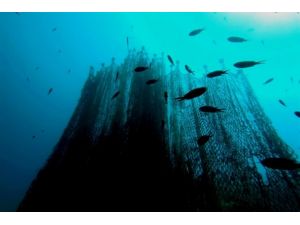 "Hayalet ağlar" temizlenecek