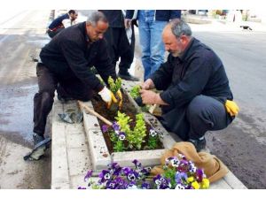 "BİT"lerde istihdam arttı 