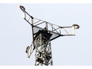 Askere gitmek için direğe çıkmış