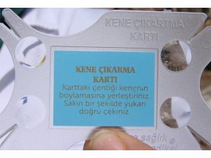 Köy köy kene çıkarma seti dağıtıyorlar