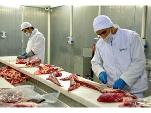 Piyasadaki etlerin tamamı yerli