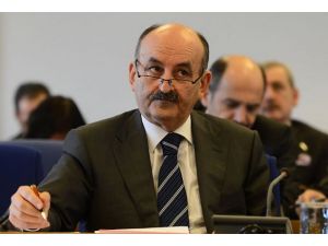 Süt anneliği çalışmaları başlıyor