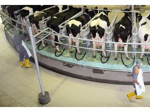 Süt üreticilerinden Rekabet Kurulu'na şikayet