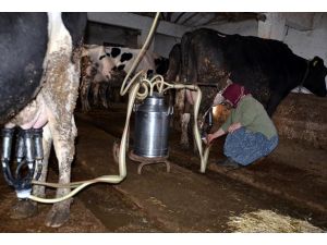 Çiftçiye 209 milyonluk destek