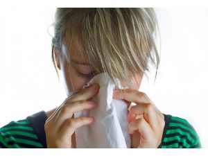 Tek suçlusu "polenler" değil