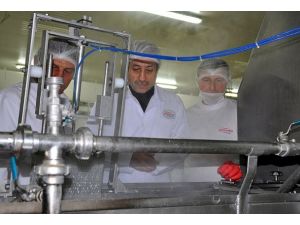 AB'ye süt satışı 3 Nisan'da 