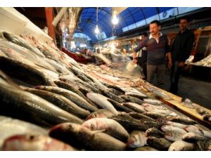 Balık, yaşlıların ömrünü uzatıyor