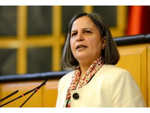 Yasayla komisyon kurulsun