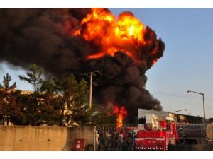 Bozüyük'te kağıt fabrikasında yangın 