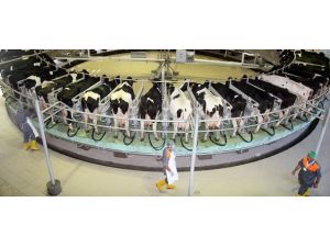 AB Türk sütü içecek