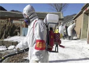 Çin'de yeni kuş gribi tehlikesi