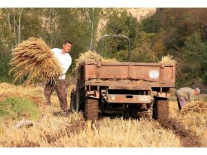 Tarım destekleri yüzde 20 arttı